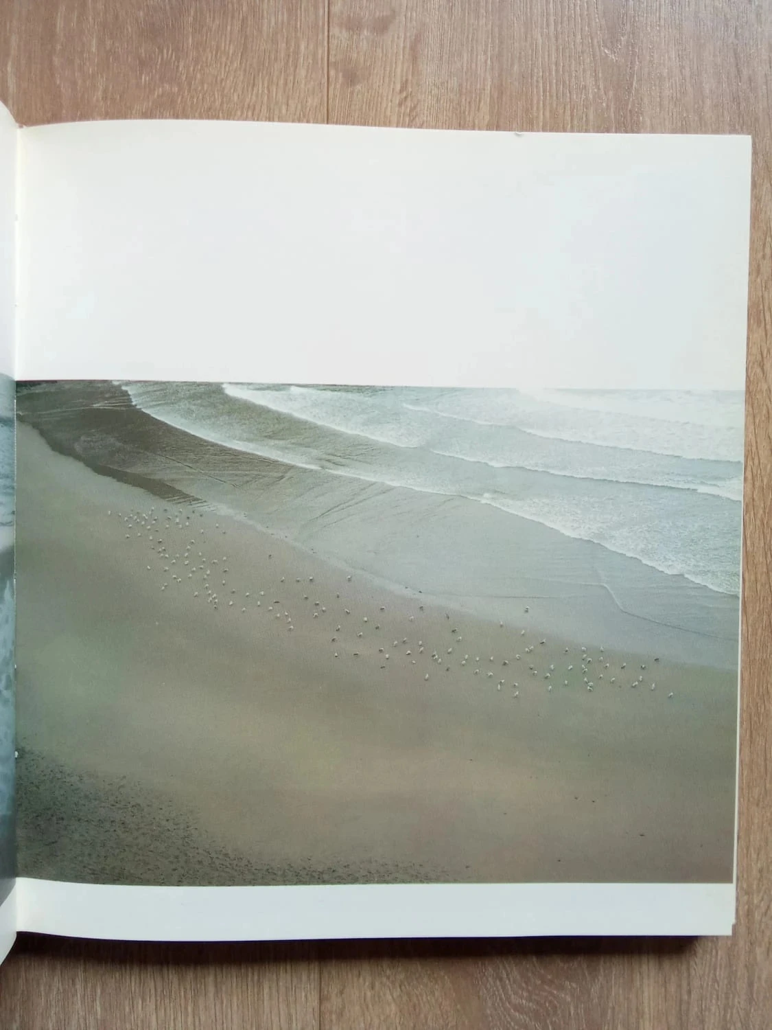 Zero Huts, de Alberto Schommer y Ernesto Sabato – photo 2